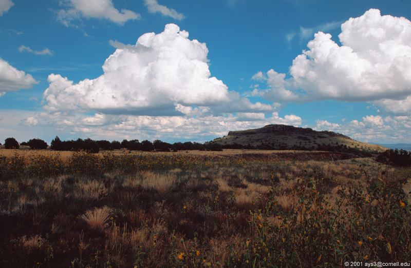 Arizona Clouds